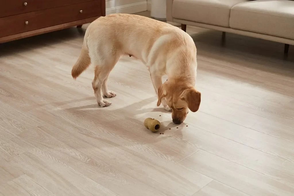Dog toys for treat stuffing such as the Orbee-Tuff Guru Treat-Dispensing Puzzle Dog Toy