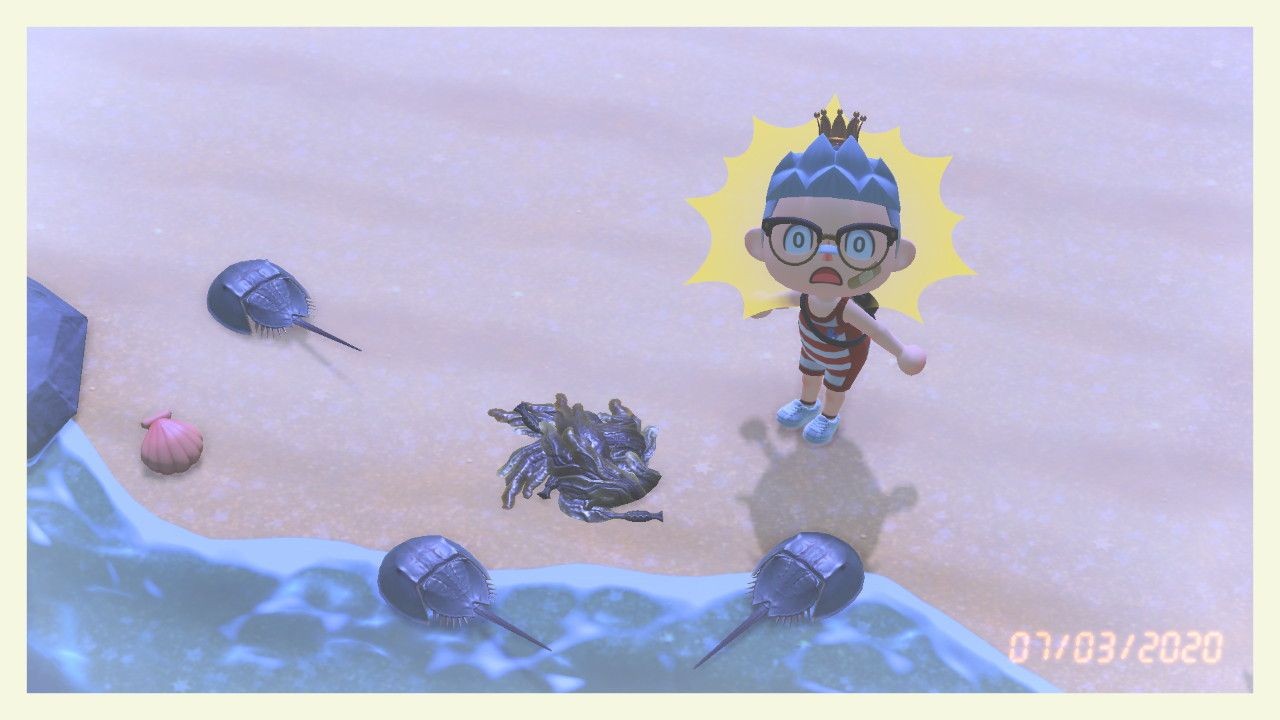 Horseshoe Crab in Animal Crossing, an armored critter with an extraterrestrial appearance