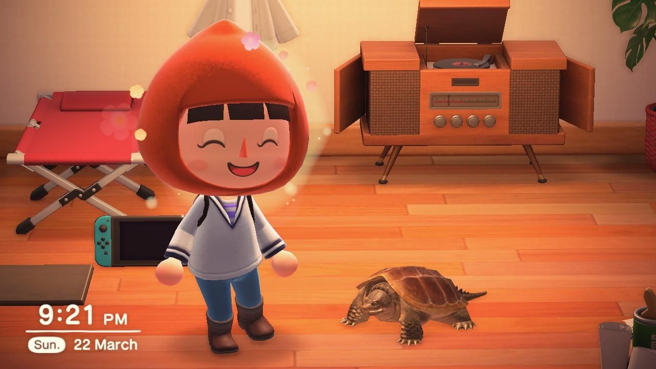 Snapping Turtle in Animal Crossing, a river-dwelling species available April through October