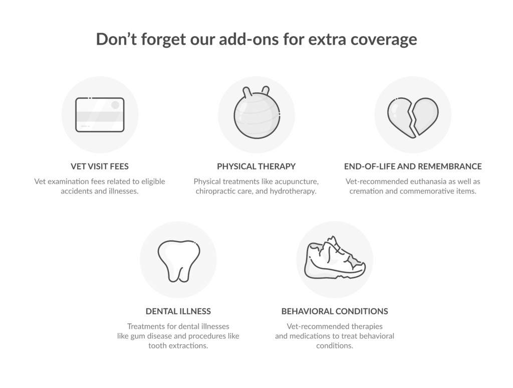 Lemonade Pet Insurance Add-Ons