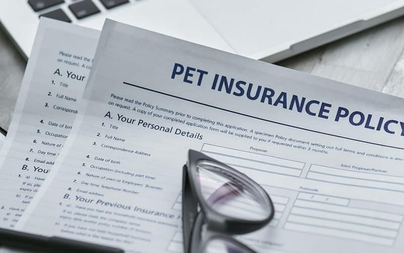 Eyeglasses on top of insurance documents, symbolizing financial planning