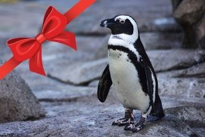 Gift an Encounter