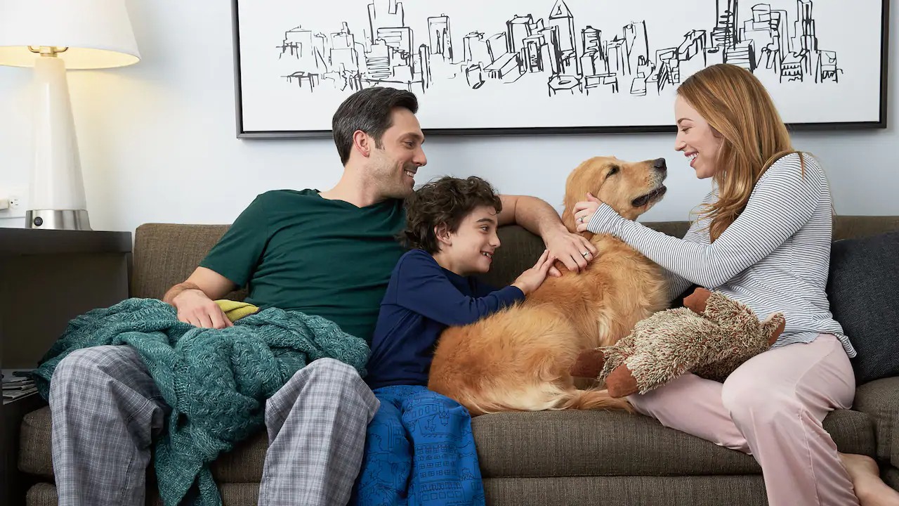 Hyatt House Dog Pet Friendly