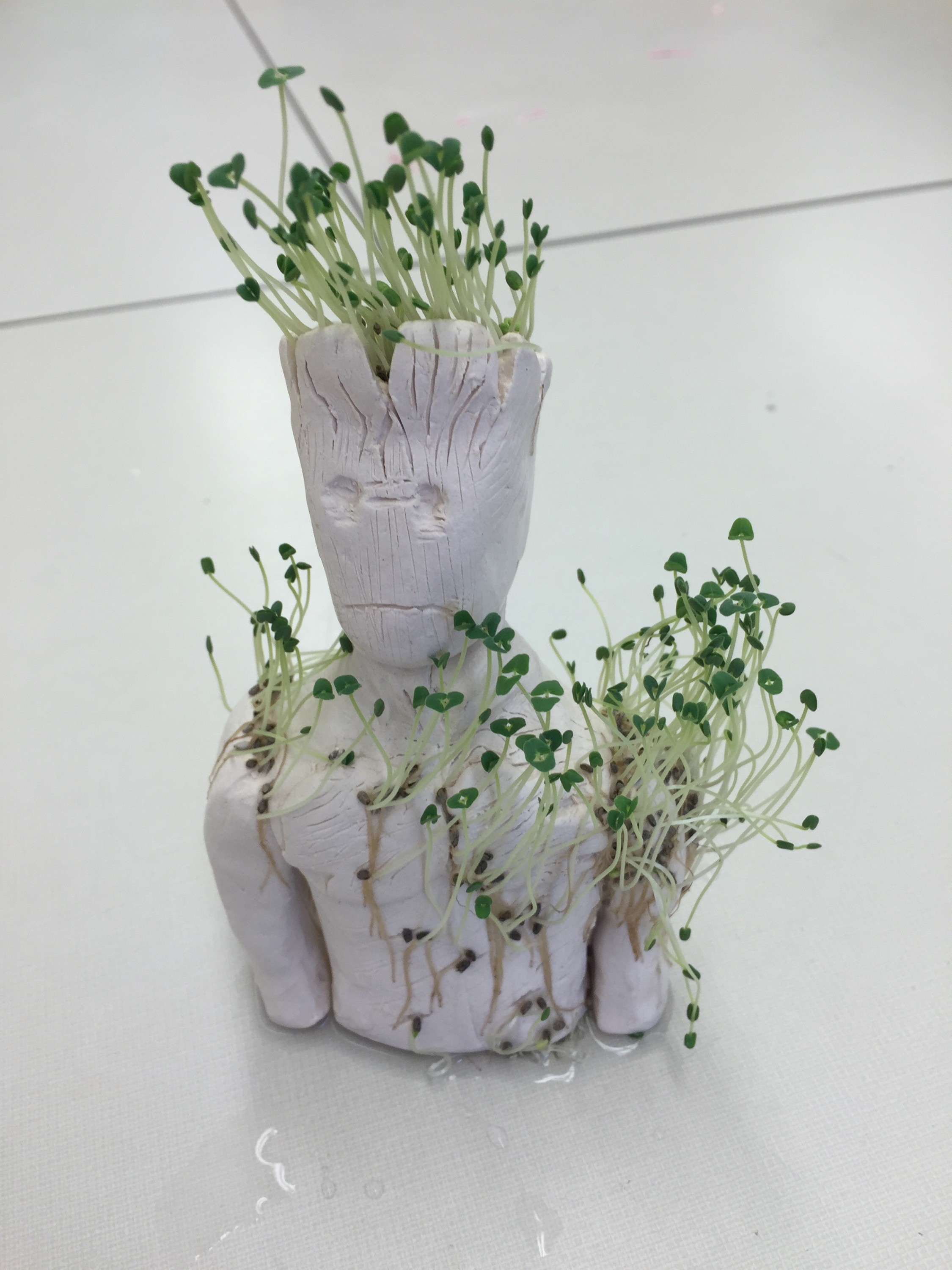Handmade Groot Chia Pet, a creative character adaptation