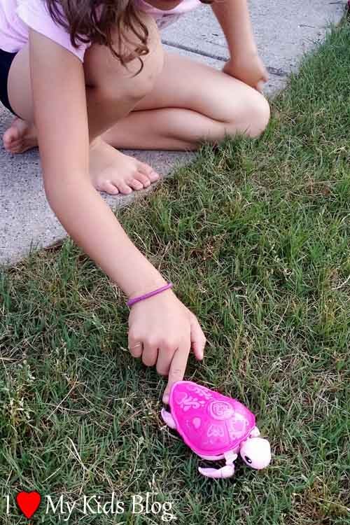 Little Live Pets turtle is walking on land, showcasing its realistic walking motion.