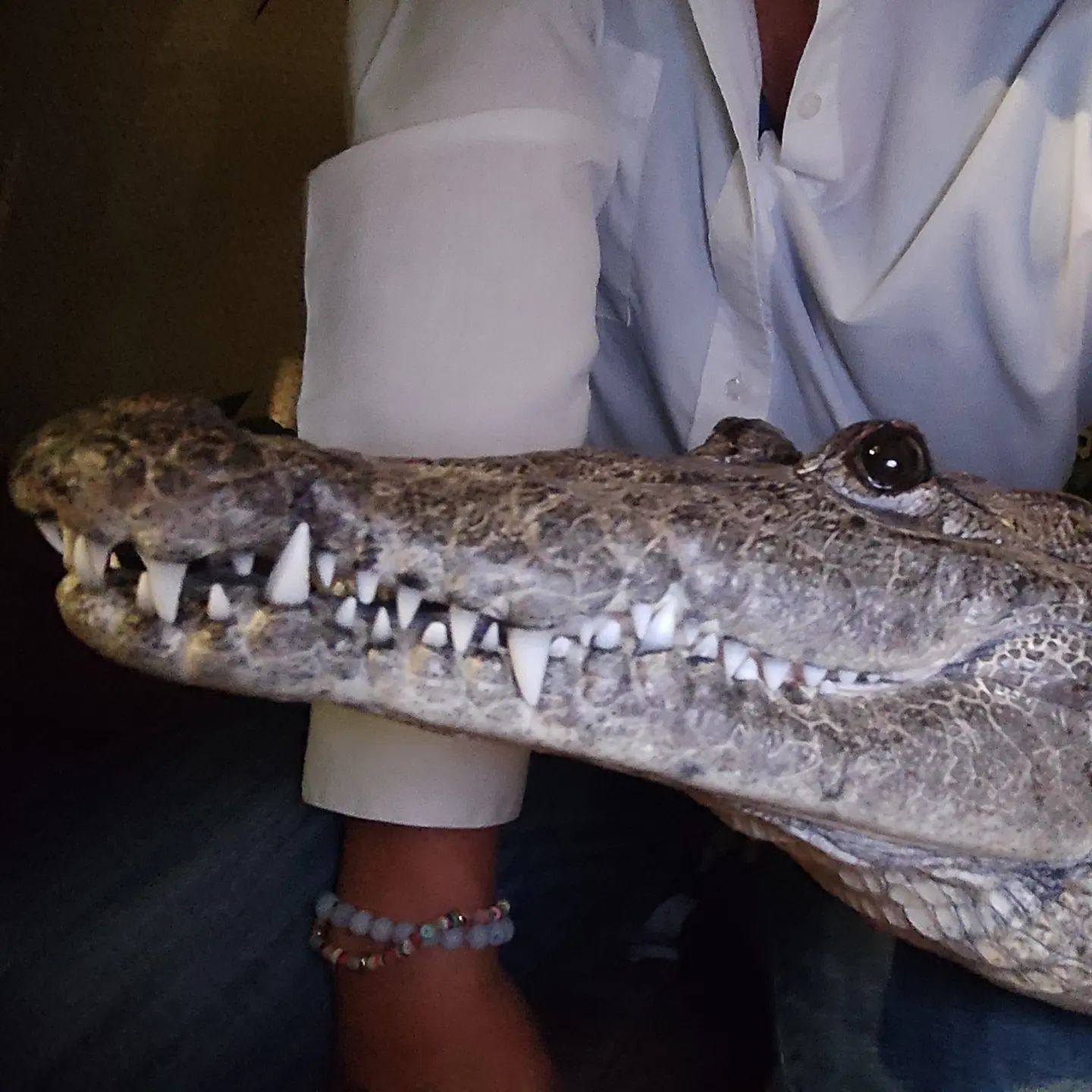 Ethical considerations in keeping pet crocodiles, emphasizing animal welfare and responsible ownership.