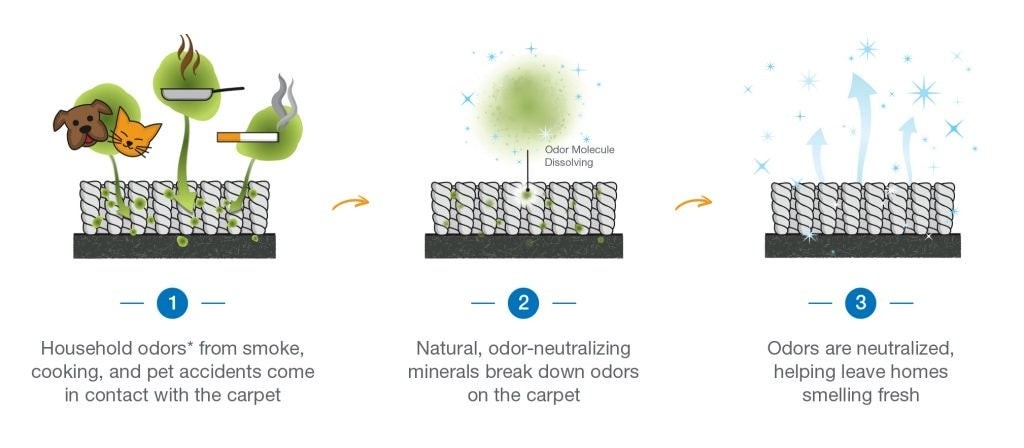 Vacuuming carpet