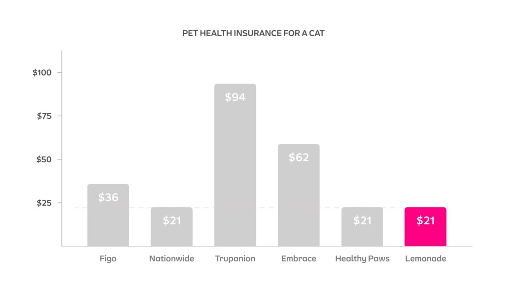 Cat Insurance Cost
