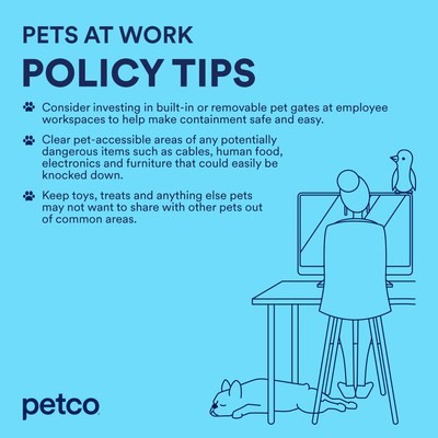 A concerned pet owner reviewing paperwork, highlighting the importance of understanding adoption agreements and return policies.