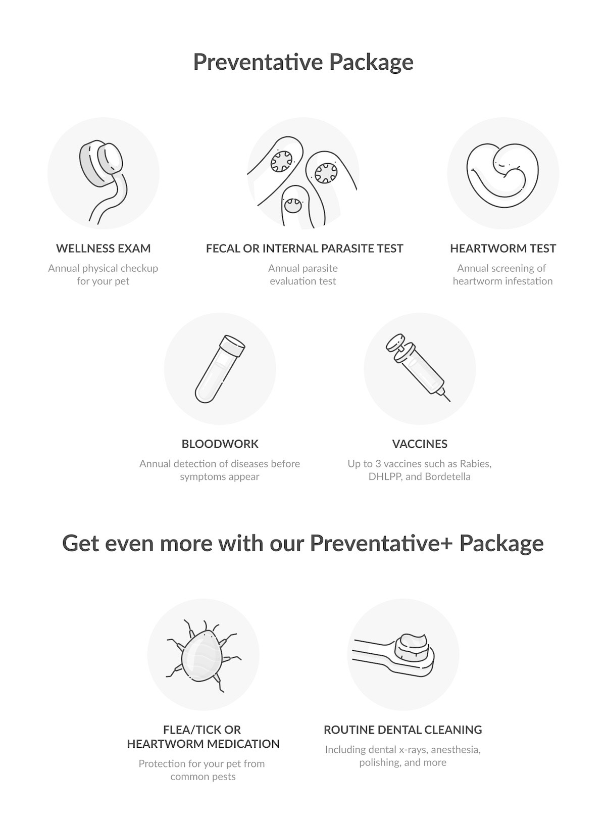 Lemonade Preventative Care