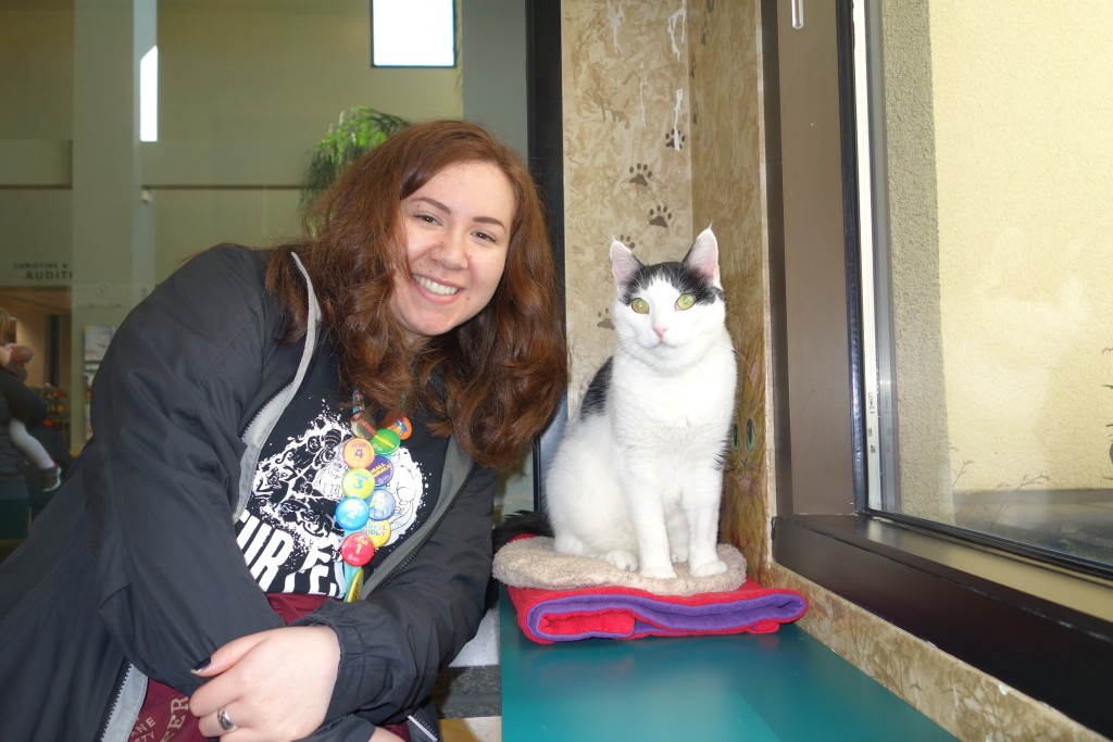 Youth Volunteers Visiting With Cats