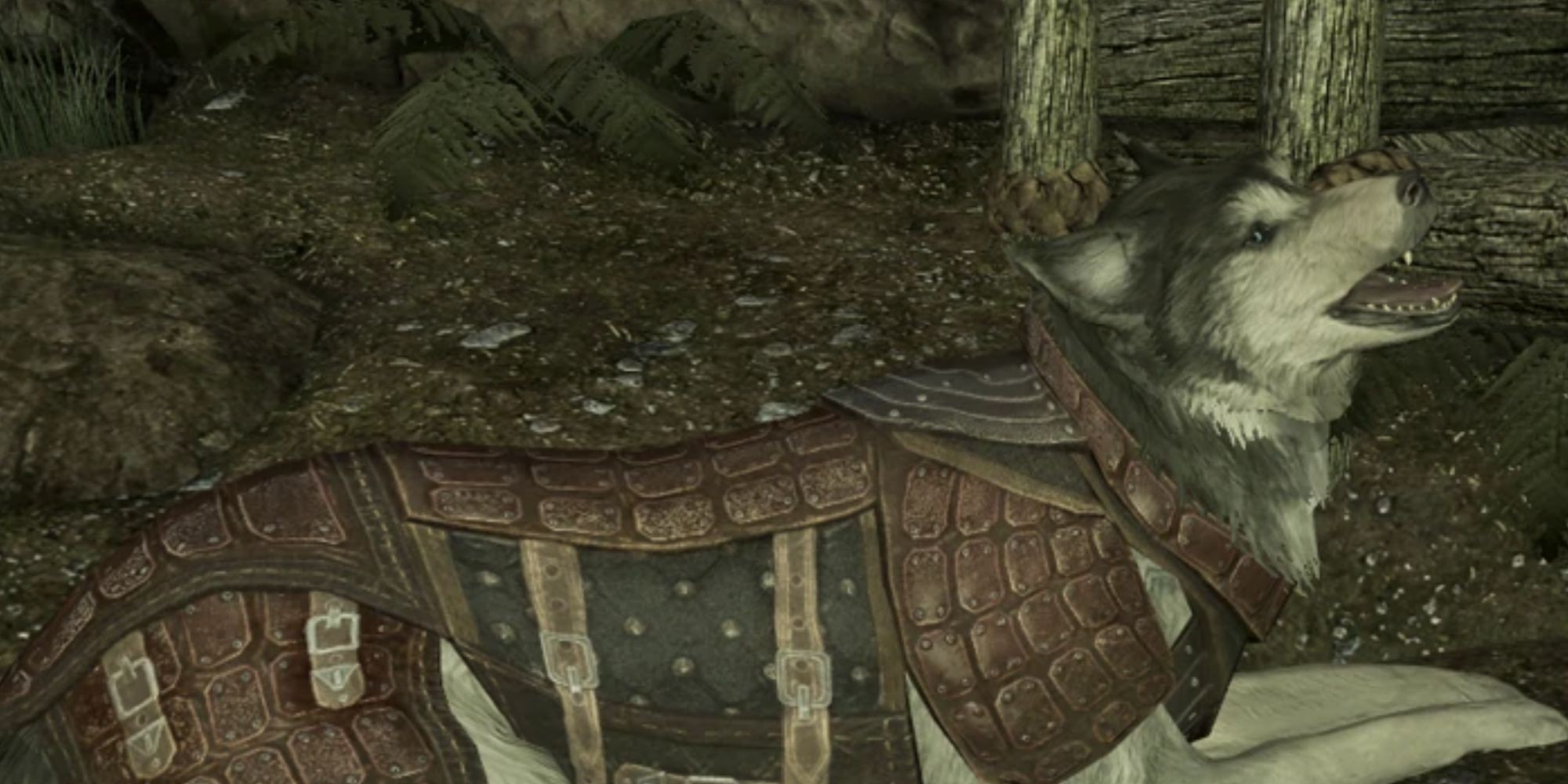 Skyrim Bran The Husky Inside Of Fort Dawnguard
