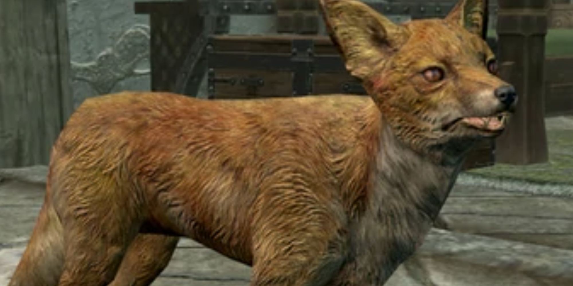 SKyrim Red Fox Pet Inside A House