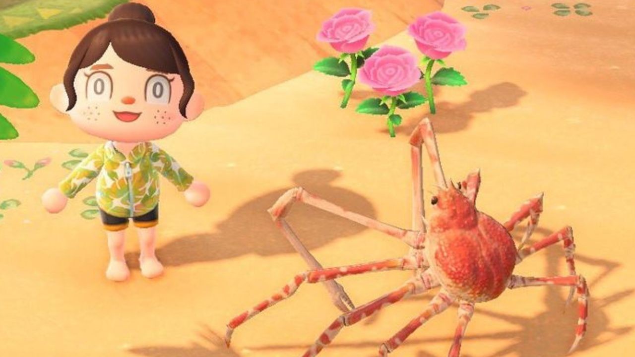 Spider Crab in Animal Crossing, a creepy-crawly creature available via diving in March and April