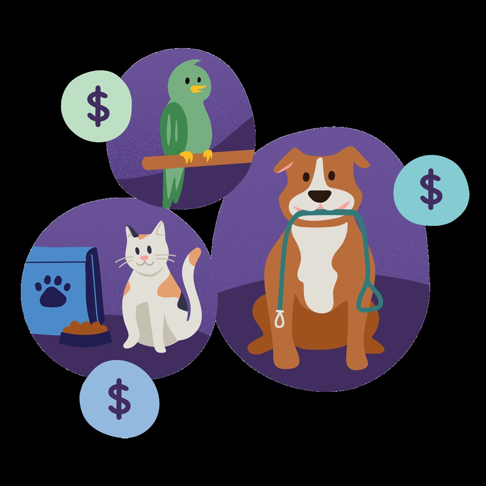 TTP-pet-sitting-rates-transparent: This image illustrates the importance of transparency in pricing to build trust with potential clients.